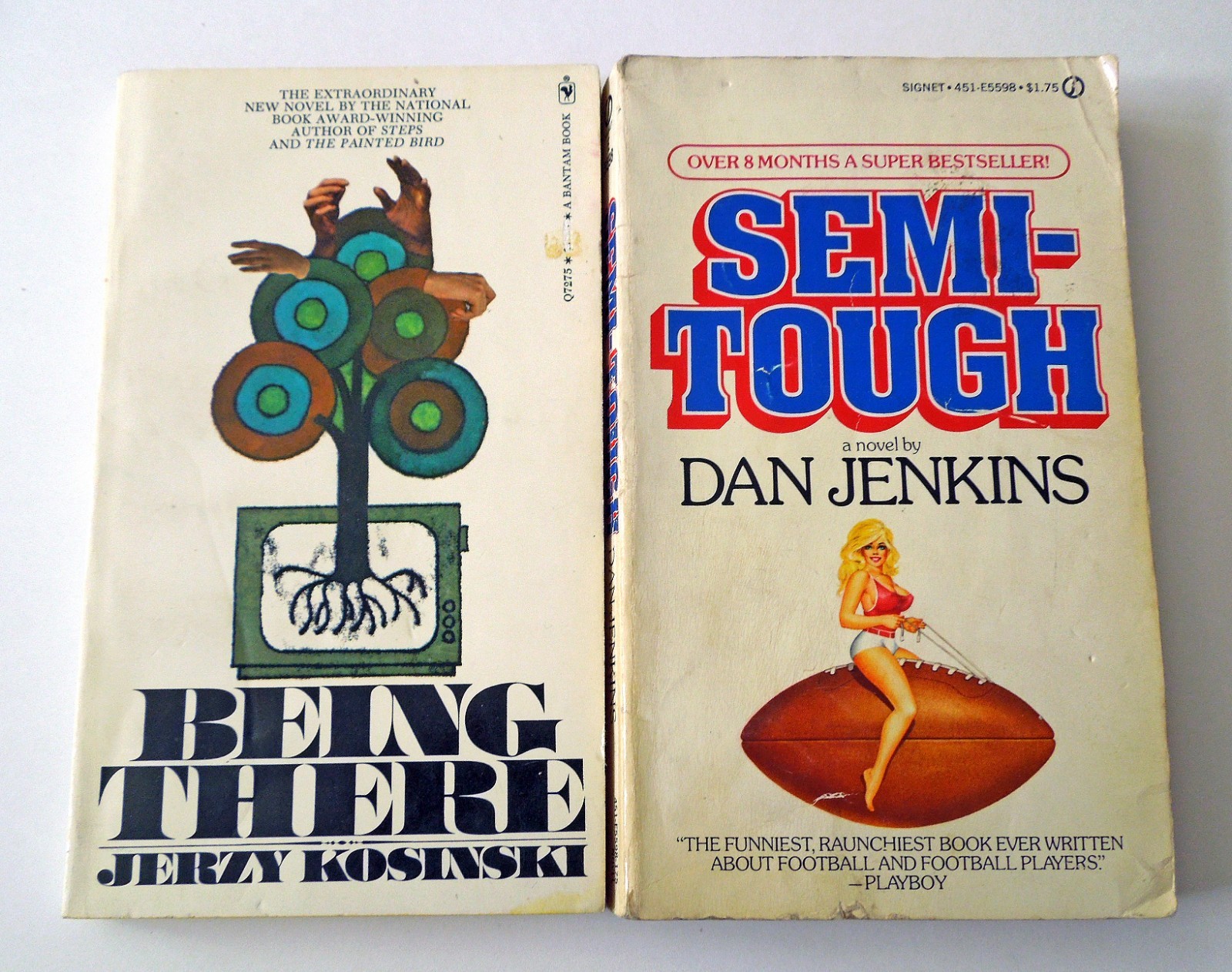 Lot of 20 Vintage 1970s Fiction Pocketbooks: Snow Bound, Being There, +18