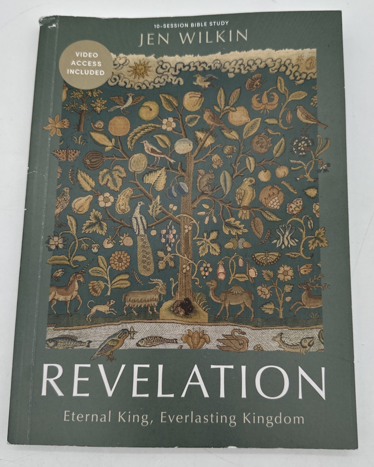 Revelation Bible Study Book Eternal King Everlasting Kingdom Paperback