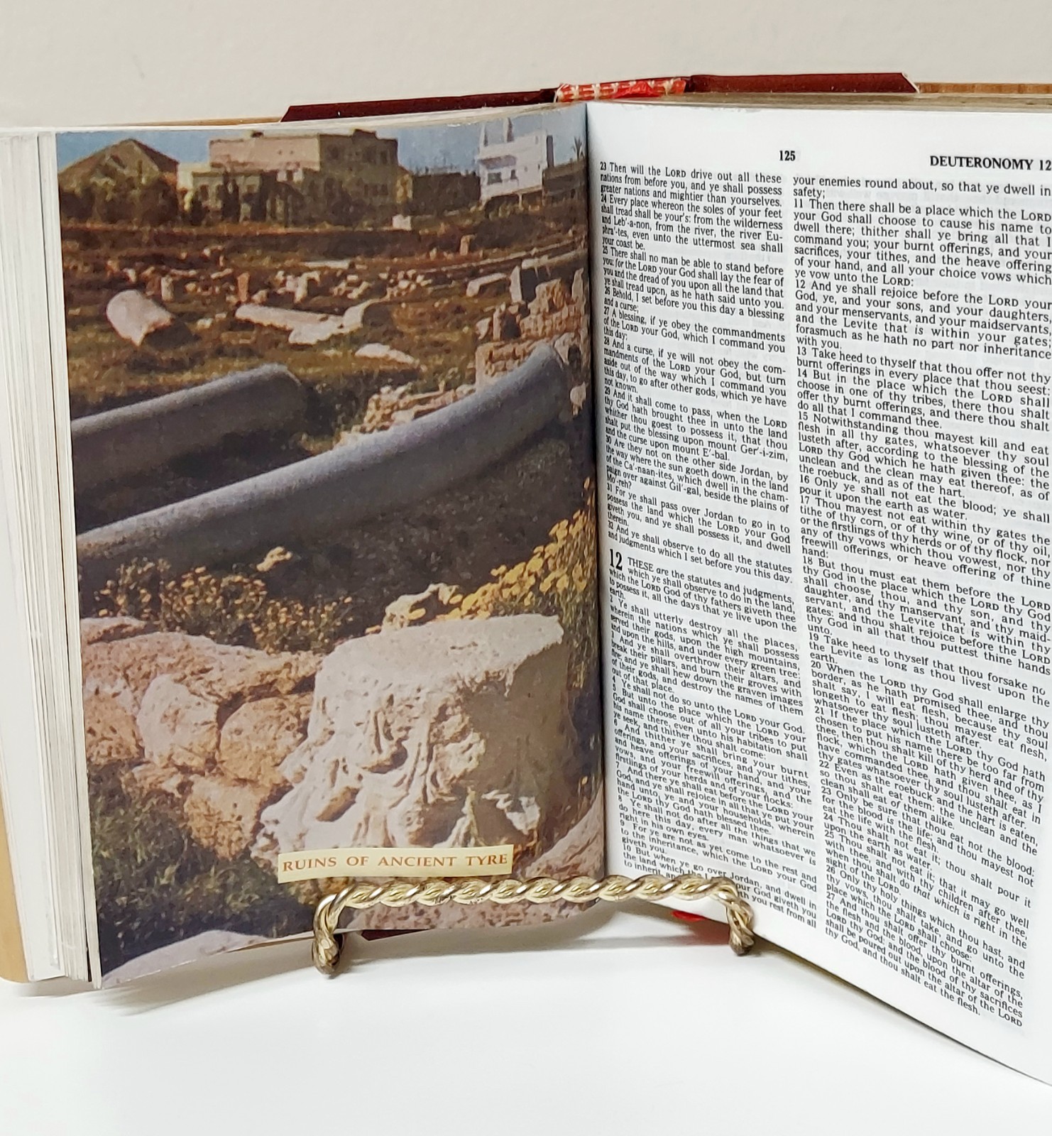 NEW! Vintage Leather Trinity Broadcasting Network TBN Mrinita Bethlehem Bible