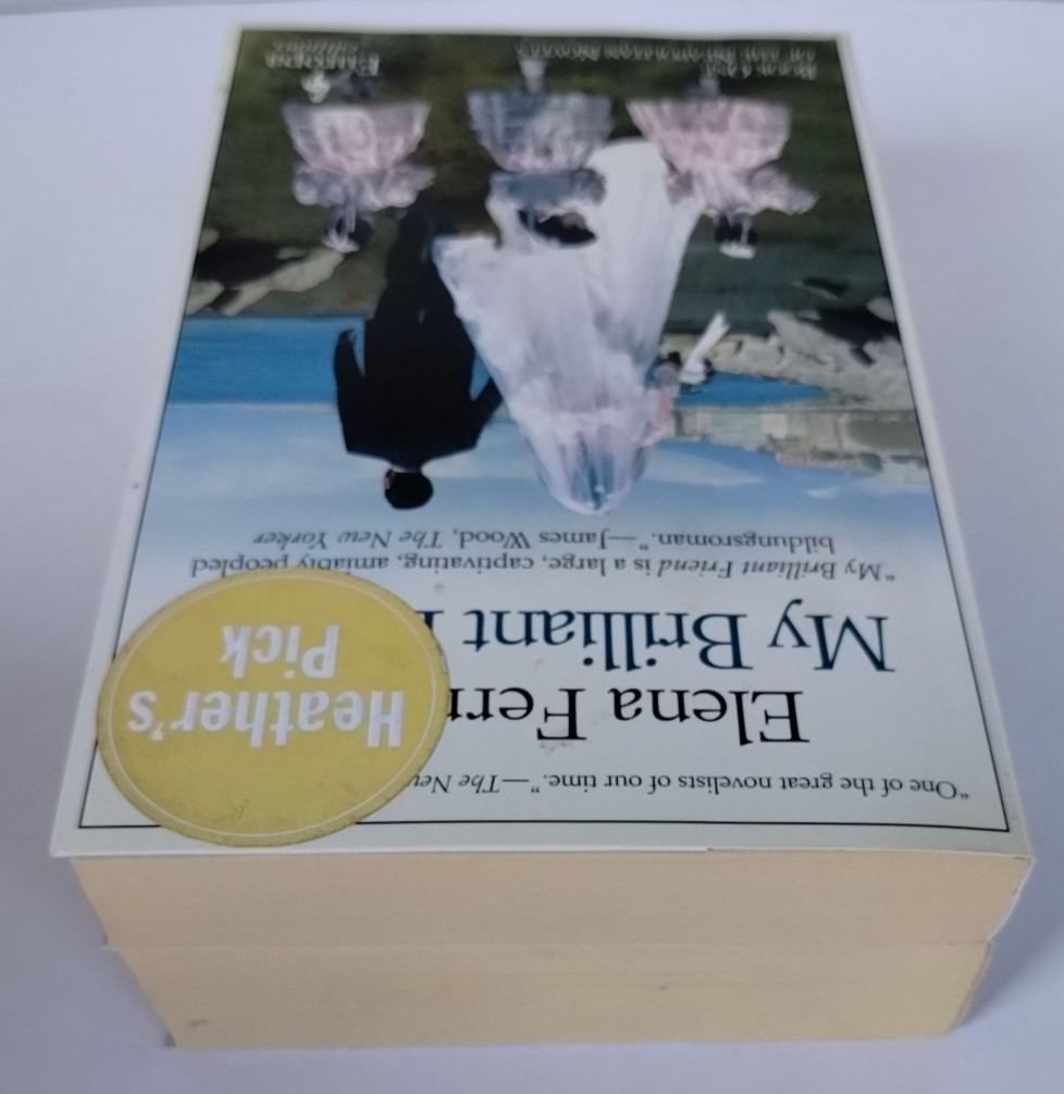 Lot Of 2 Neapolitan Novels By Elena Ferrante, Europa Editions Book 1-2