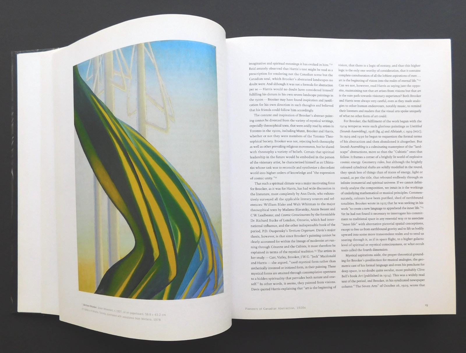 Pristine ABSTRACT PAINTING CANADA 200 images Oversize 1st ed 432 pages NASGAARD