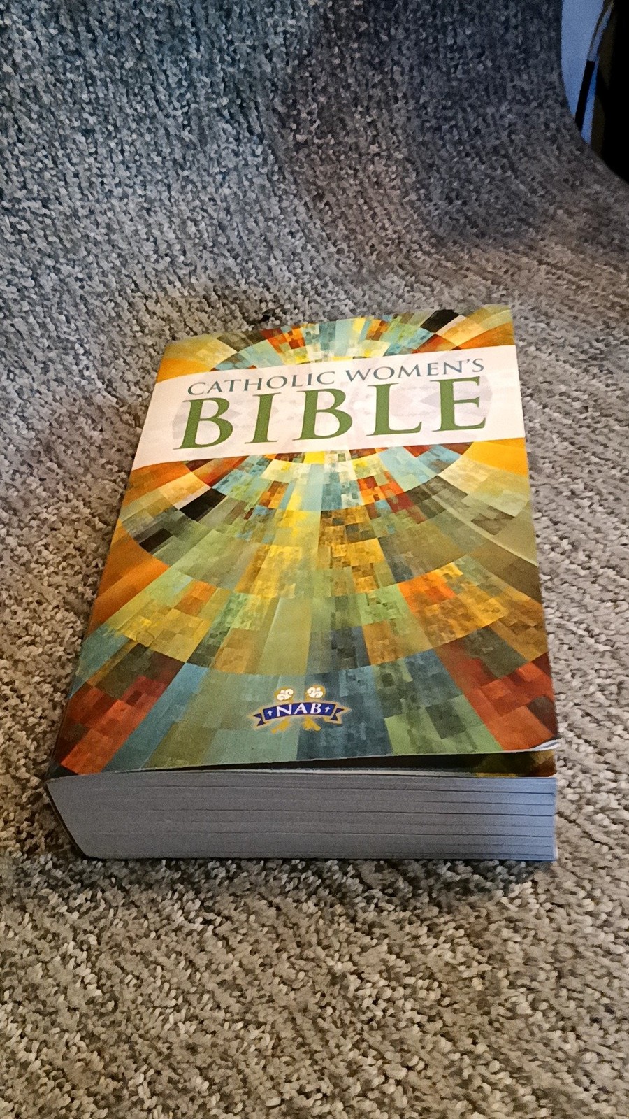 Catholic Women’s Bible Bricker New American Bible Softcover (2012) [VG]