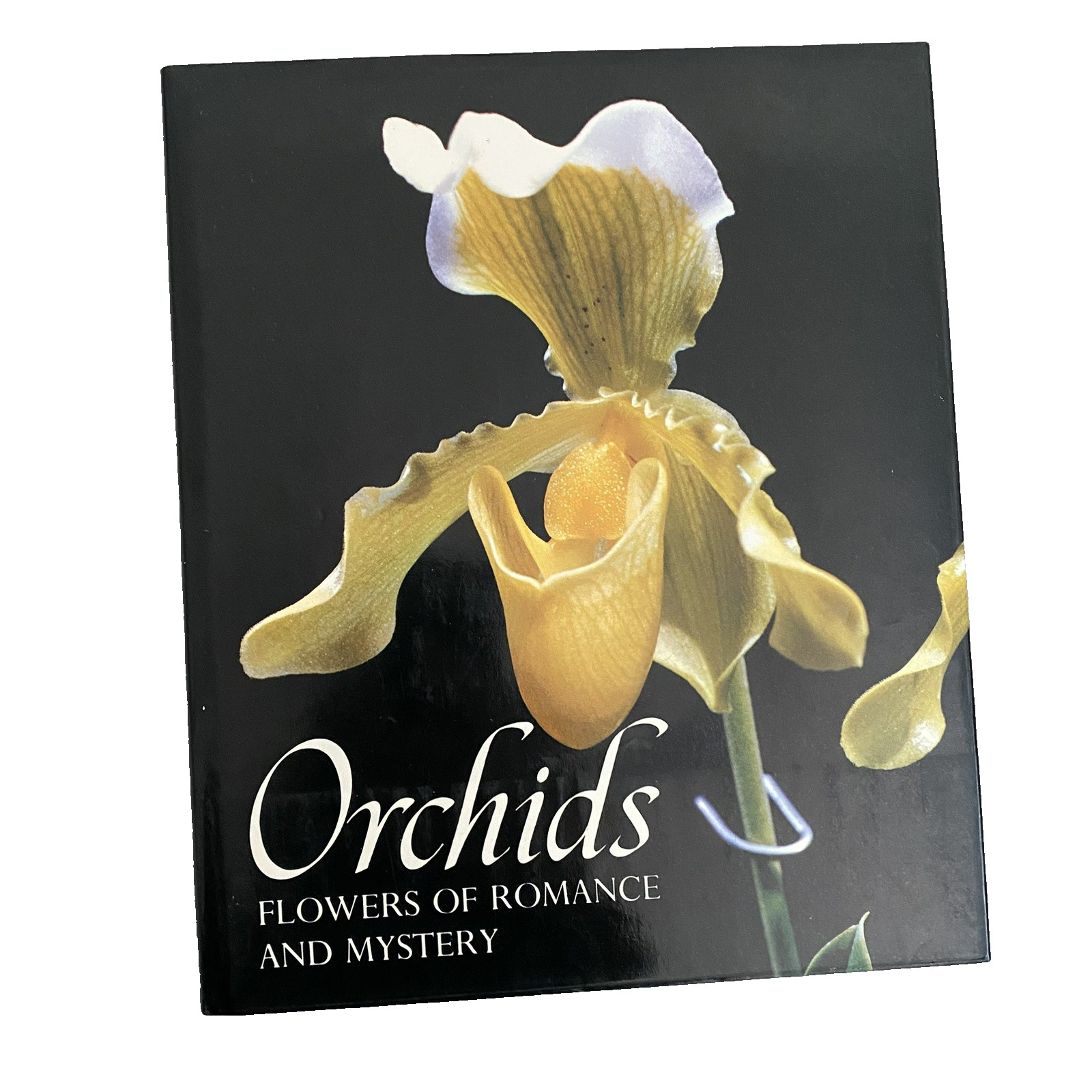 Orchids: Flowers of Romance and Mystery – VTG 1979