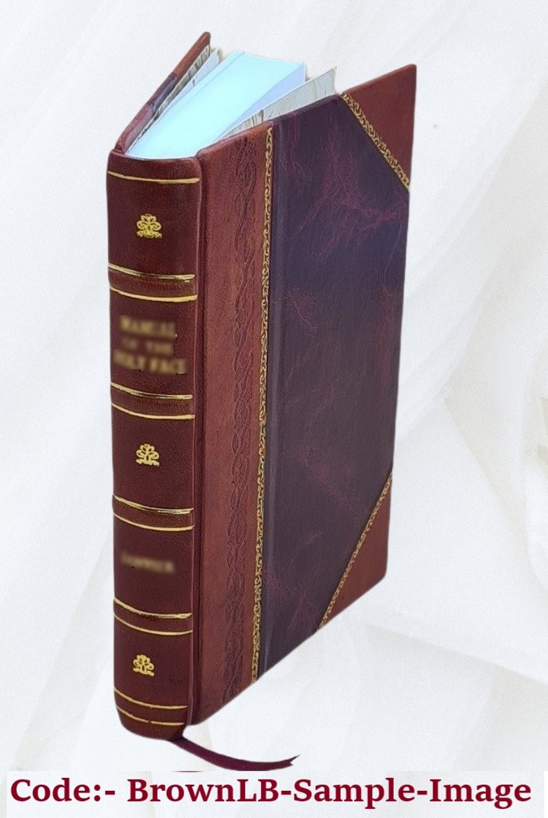 Historical And Genealogical Account Of The Rush Family 1925 [Leather Bound]