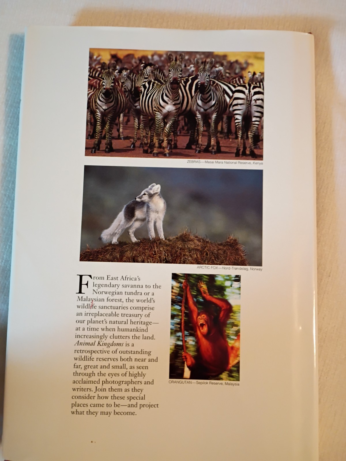 Lot of 4 National Geographic Society Books- Wilderness Animals World HC W DJ