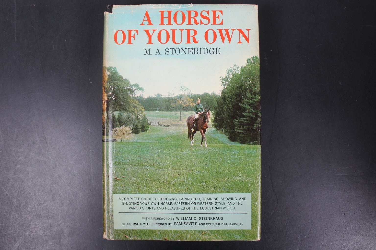 A Horse of Your Own Stoneridge 1963 First Edition Illustrated Equestrian HCDJ