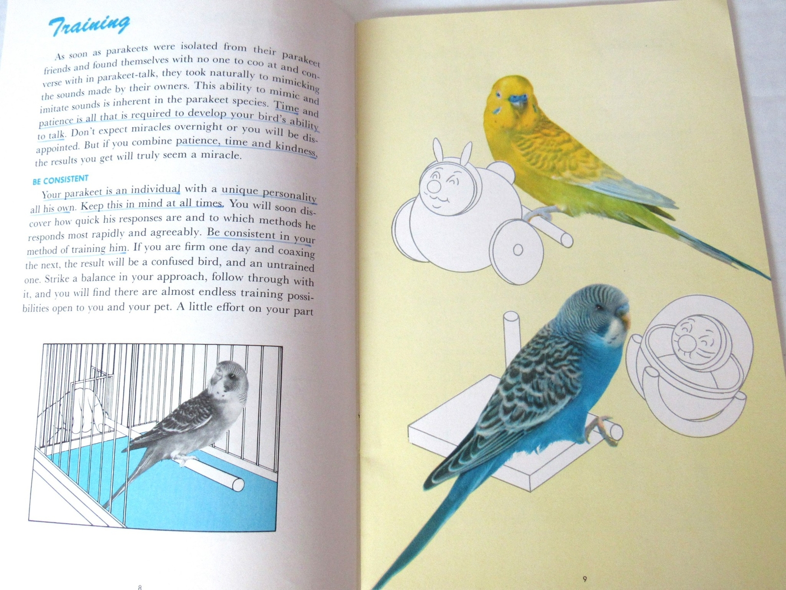 1953 EVERYTHING ABOUT PARAKEETS BUDGIES HARTZ MANUAL HEALTH TRAINING TALKING USA