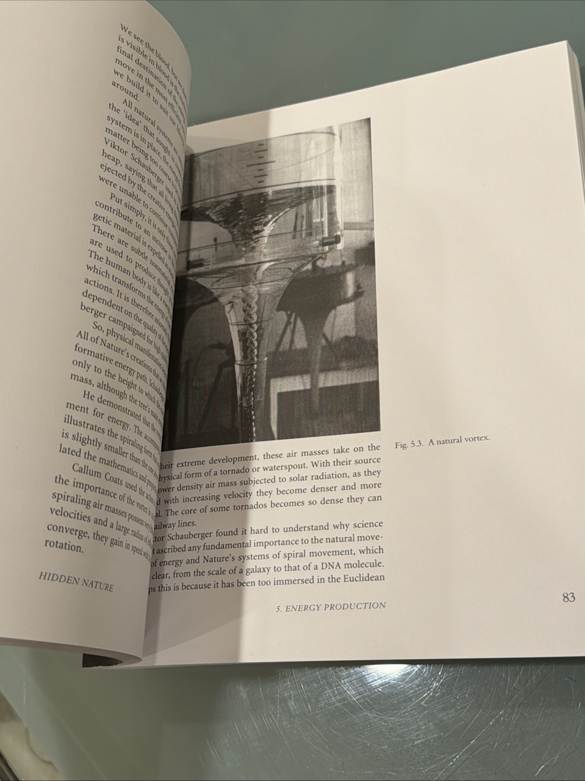 Hidden Nature: The Startling Insights of Viktor Schauberger – Paperback