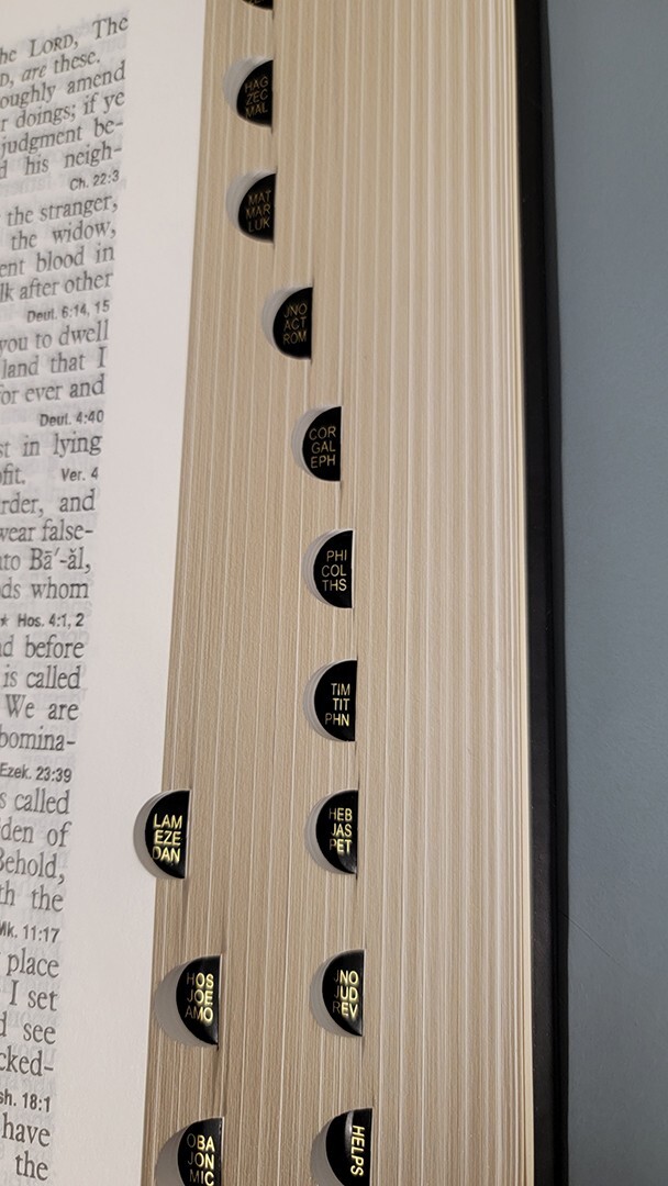 KING JAMES VERSION (KJV) STUDY BIBLE WITH DANIEL, REVELATION STUDY HELPS, MORE!!