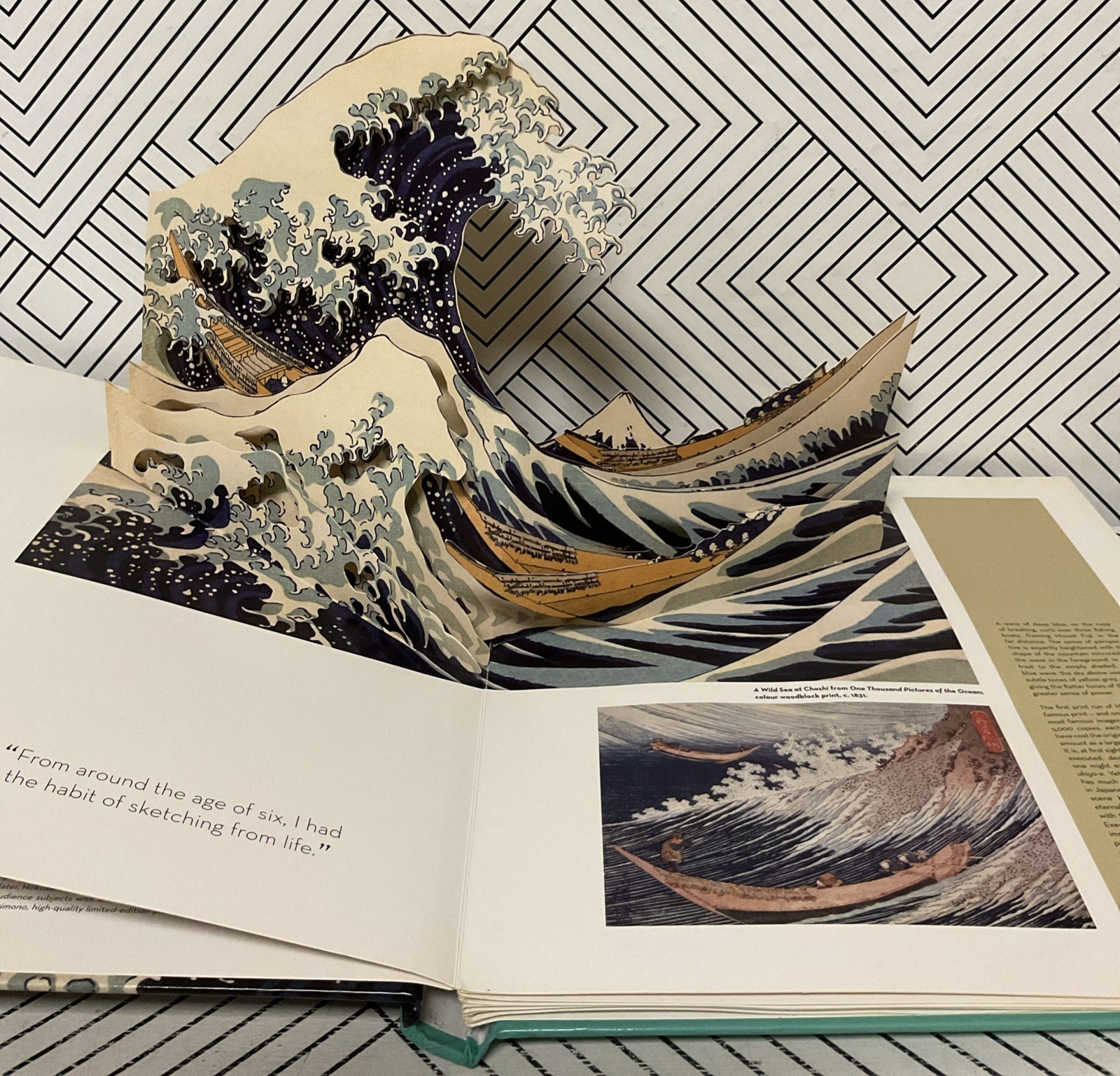 🥥 Hokusai Pop-Ups Courtney Watson McCarthy Thames & Hudson🆕AS SHOWN👇