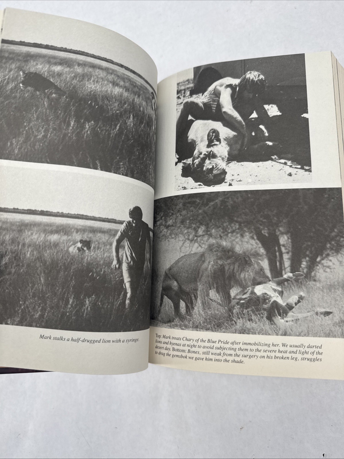 Delia Owens In Africa A Life In The Wild: By Mark Owens & Delia Owens 2019 B&N