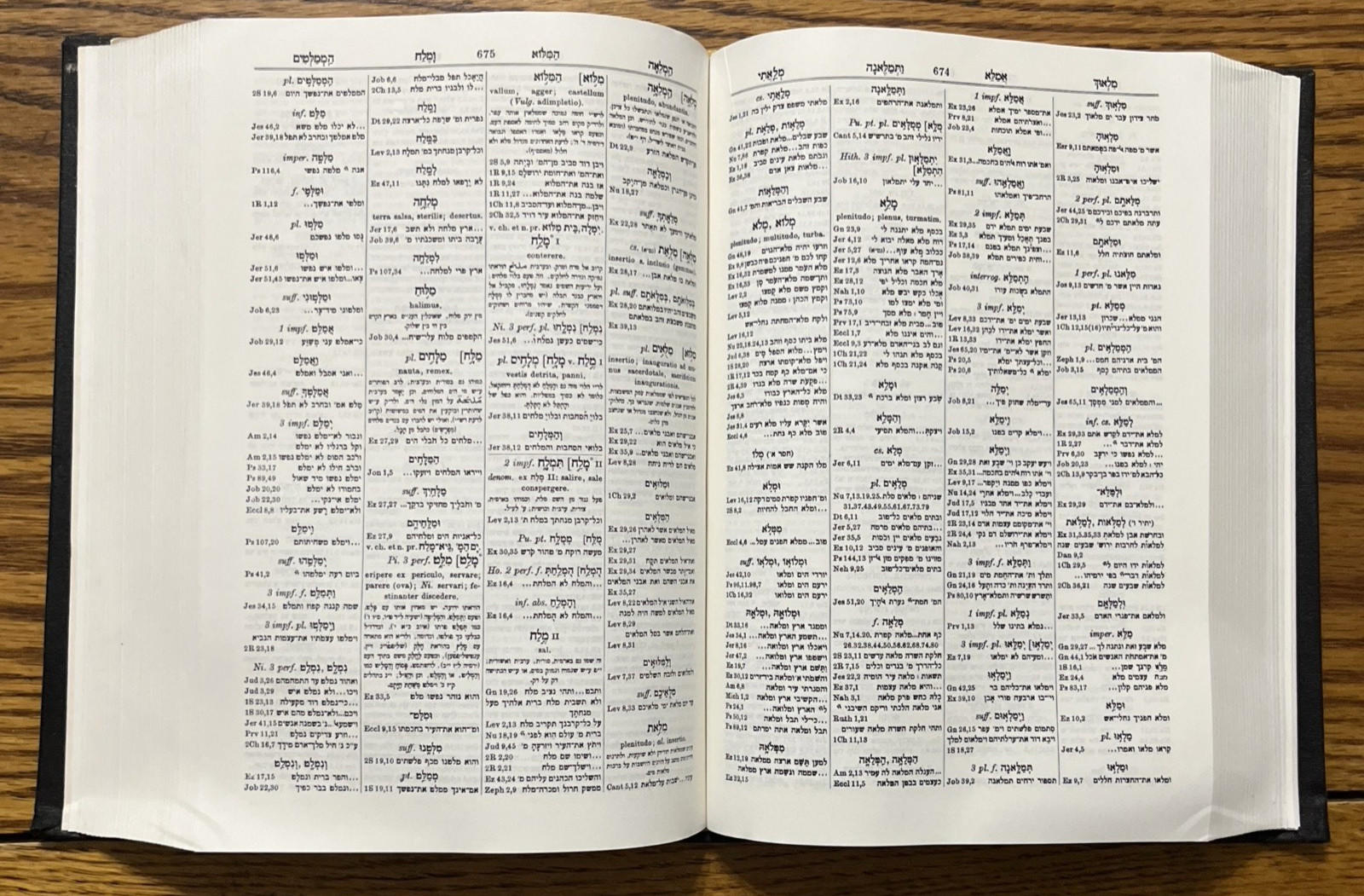 Veteris Testamenti Concordantiae Hebraicae Atque Chaldaicae Solomon Mandelkern