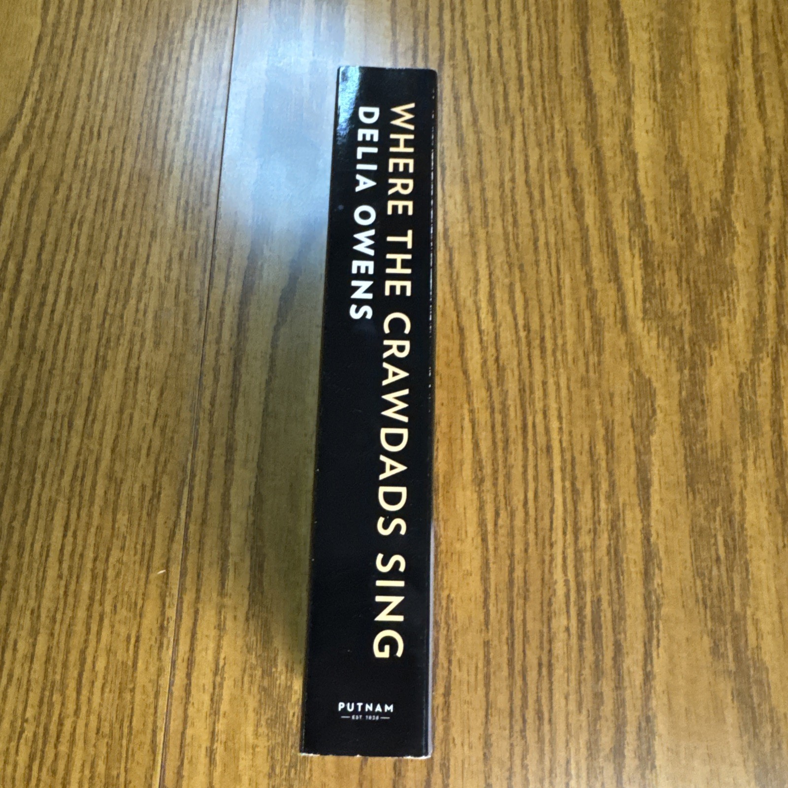 Where The Crawdads Sing – Delia Owens