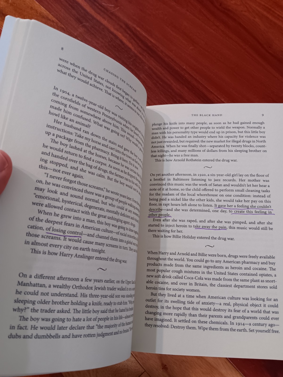 Chasing the Scream: The First and Last Days of the War on Drugs, Johann Hari