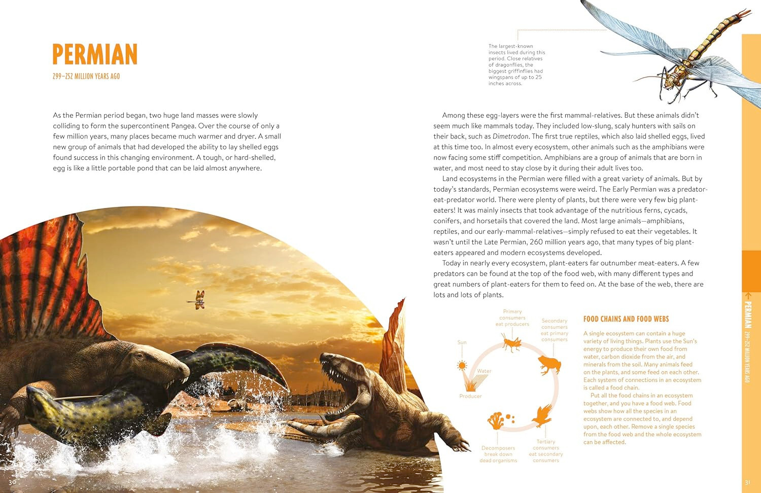 Prehistoric: Dinosaurs, Megalodons, and Other Fascinating Creatures of the Deep