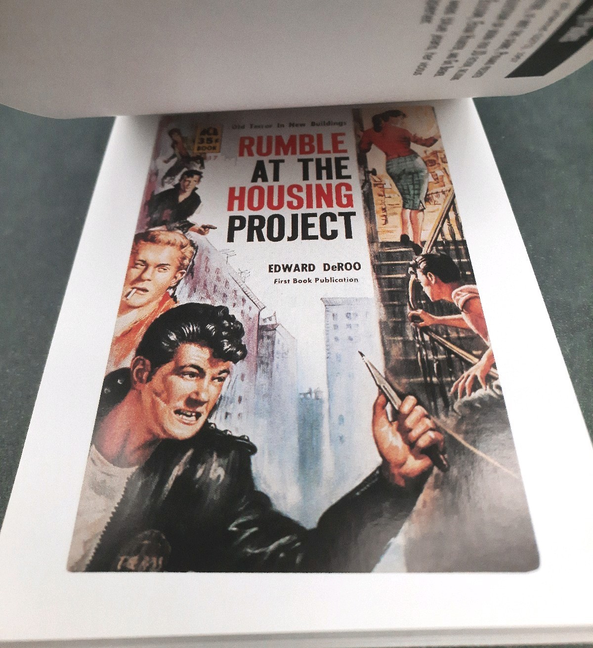 BAD SEED Postcard Book 30 Cards ~ 1950s Teen Delinquent Pulp Fiction Art