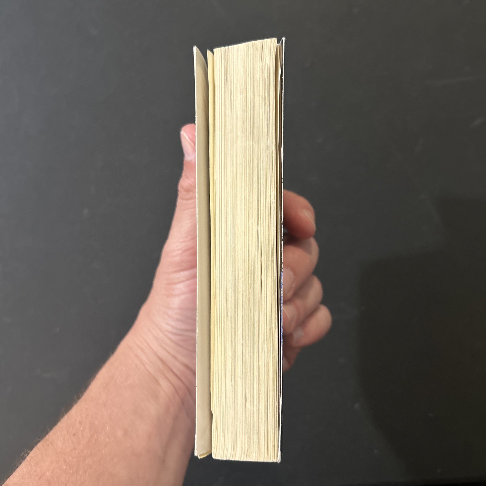 Stinger By Robert McCammon 1988 Pocket Books ISBN 4-594-00696-5 RARE Japanese Ed