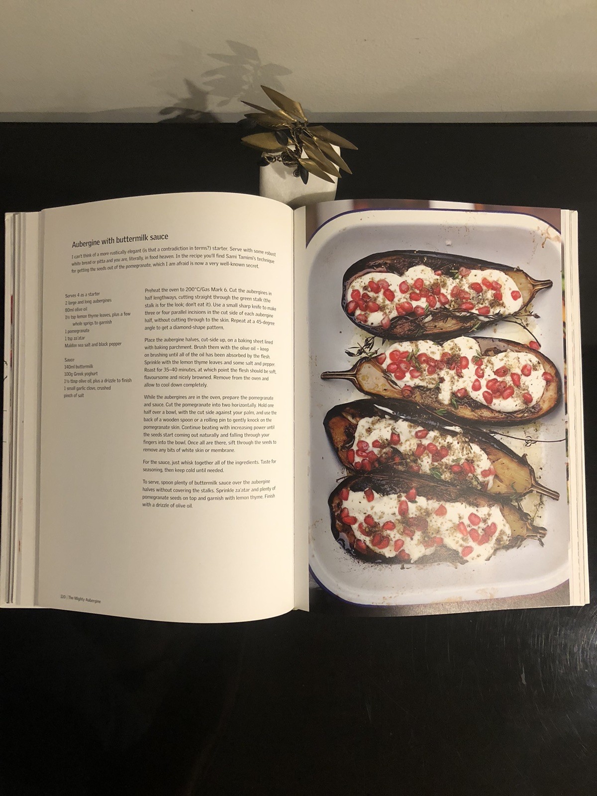 Yotam Ottolenghi Plenty Ebury Press 2010 First Ed. HC LN Cookbook
