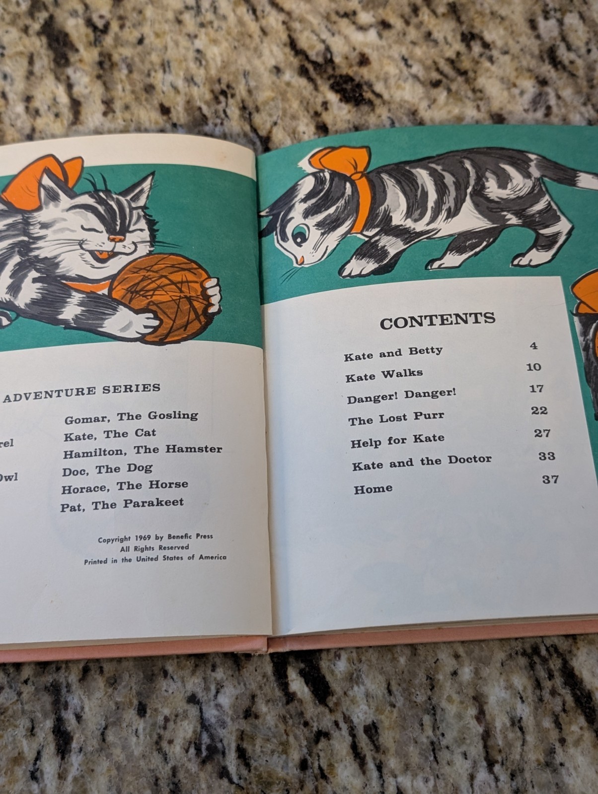 Kate, the Cat by Gene Darby Vintage 1969 Book Animal Adventure Series Hardback
