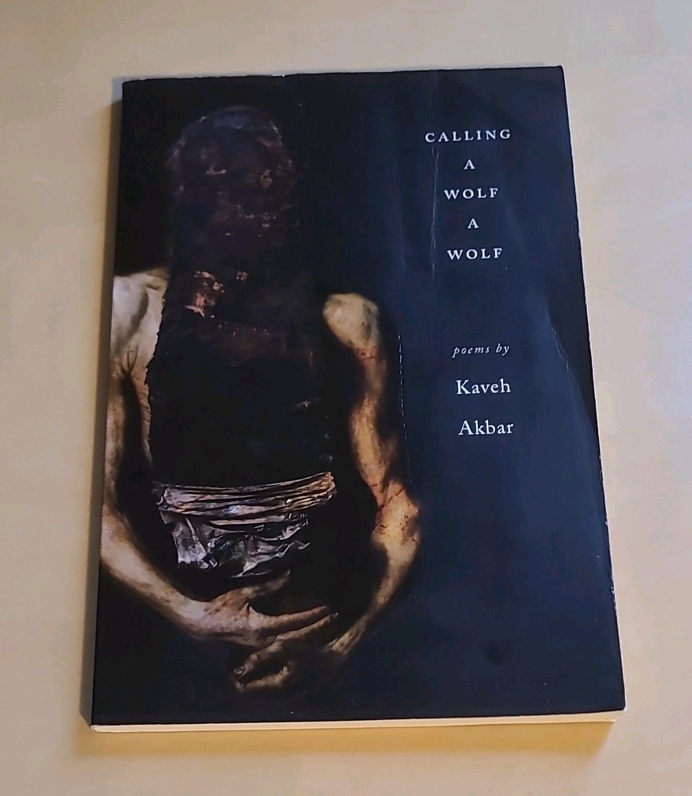 Poetry Bundle: Rumi & Kaveh Akbar: Essential Rumi, Calling a Wolf a Wolf