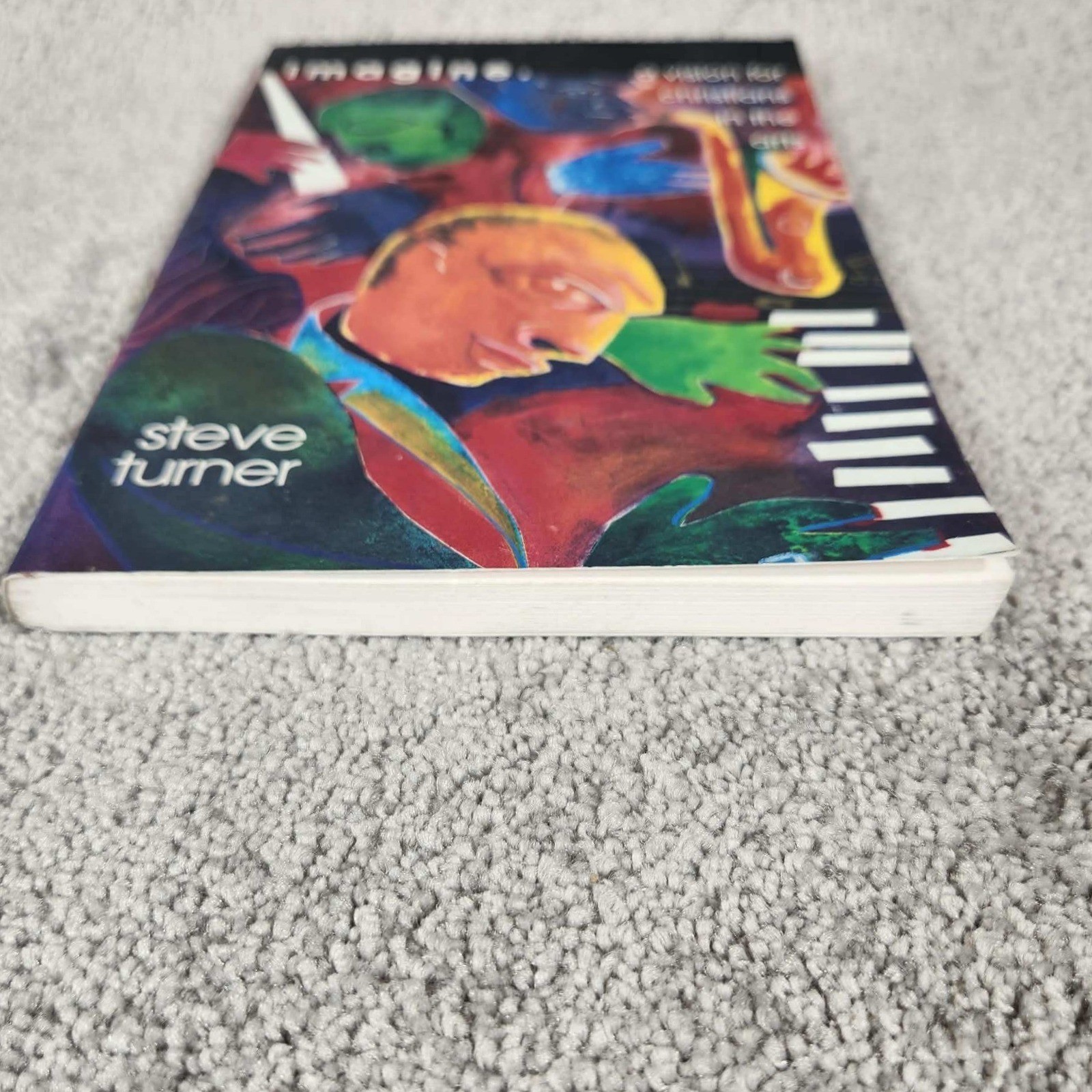 InterVarsity Press Imagine Steve Turner Christian Arts Paperback Religion 8.25″