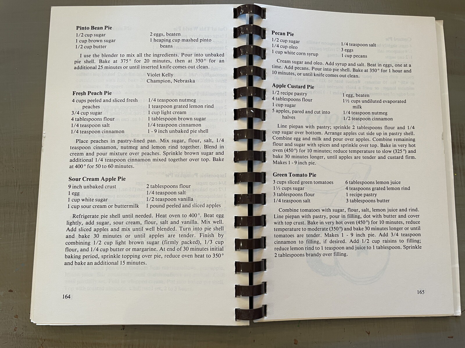 Vintage Cookbook 80s 1982 USA Midwest Nebraska 220+ Pages Fundraiser Spiral
