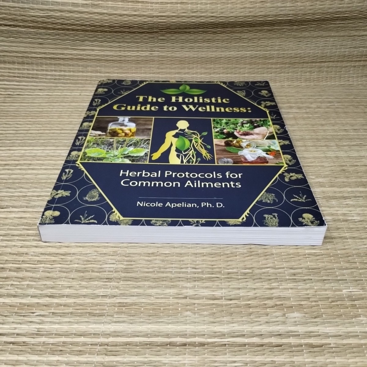 The Holistic Guide to Wellness by Nicole Apelian English Paperback Book VG