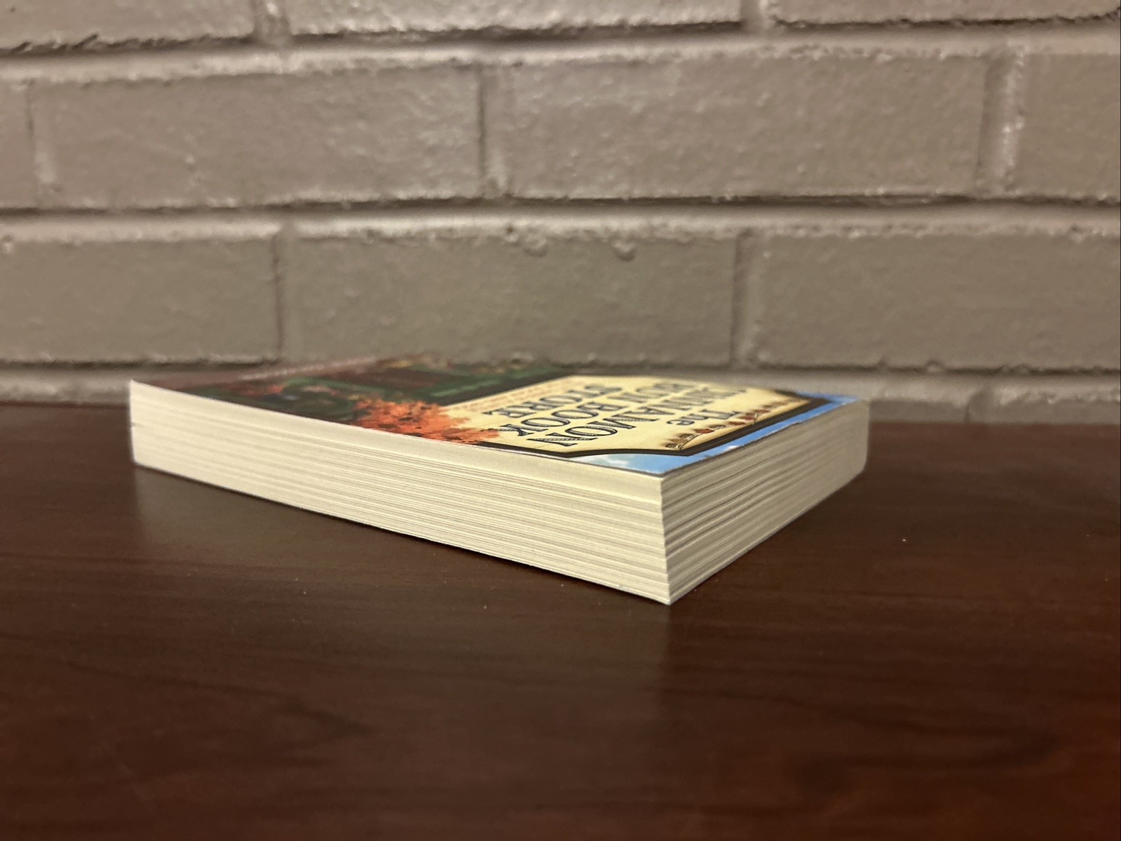 The Cinnamon Bun Book Store by Laurie Gilmore (2024 Trade Paperback)