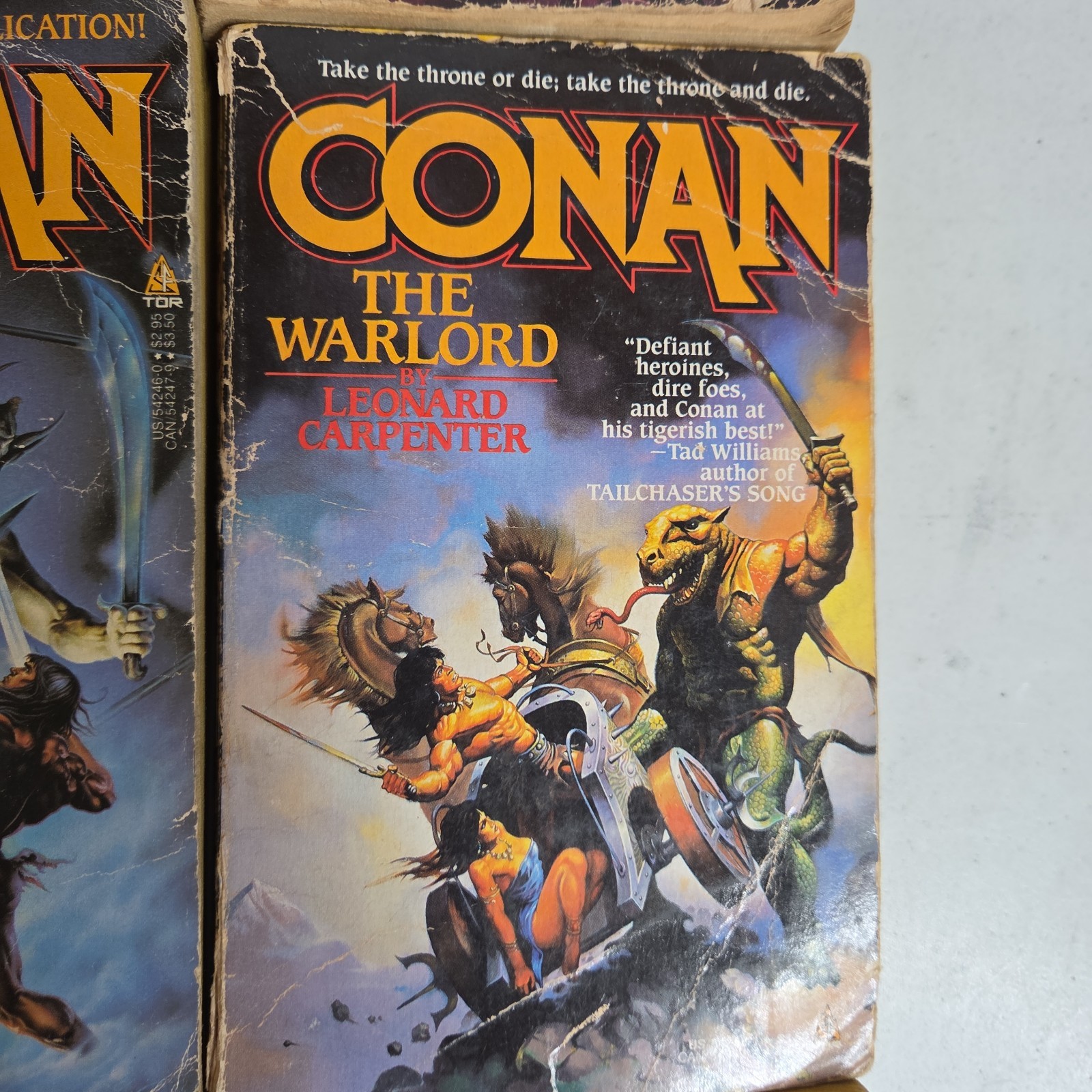 CONAN THE BARBARIAN 12x PAPERBACK Book LOT Fantasy TOR Robert Jordan