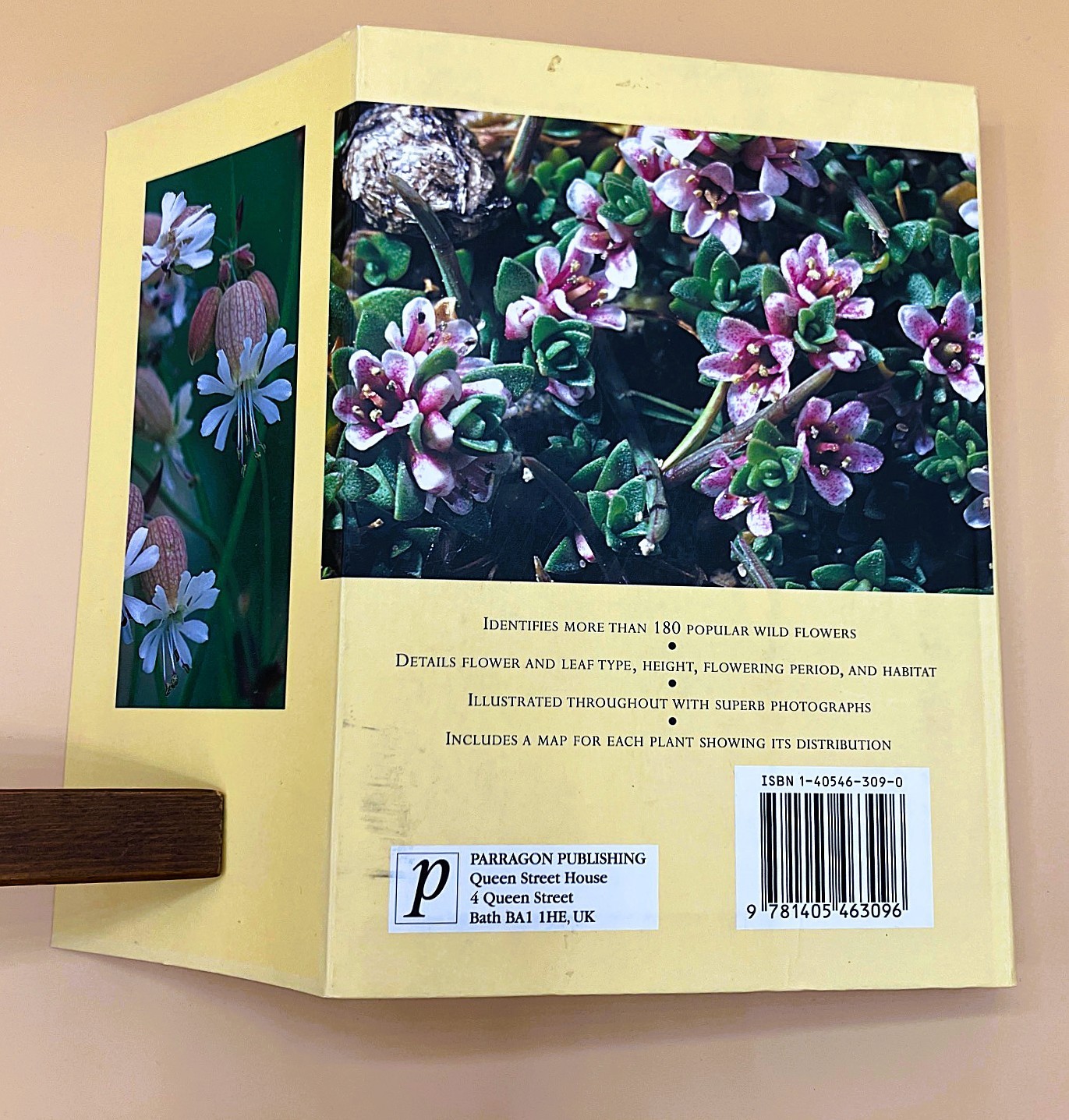 Gardener’s Lot of 4 Books, Very Good, The Orchid Show, Etc.