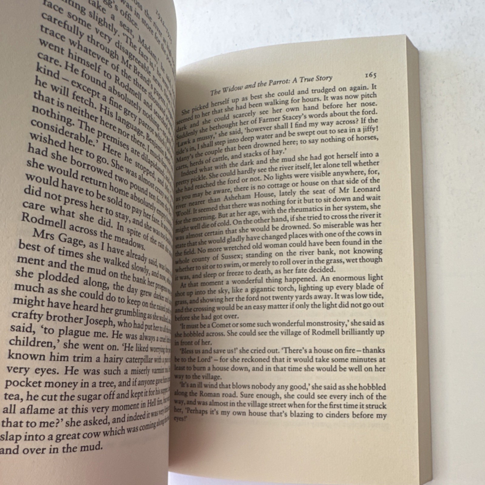 Virginia Woolf Paperback Fiction Set