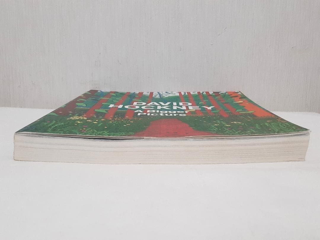 David Hockney A Bigger Picture Art Book English 301 Pages Used