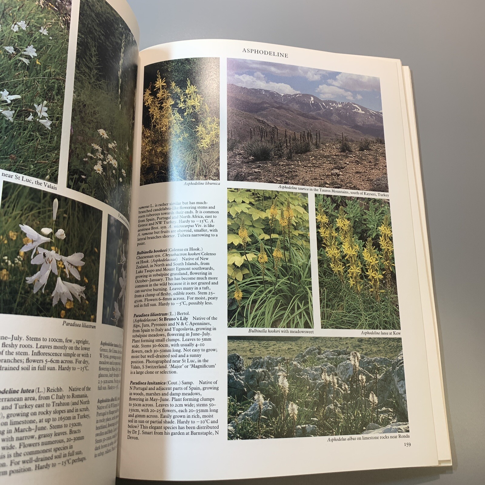 Random House Book of Perennials Vol 2, 1991, Roger Phillips 240 pages (402)