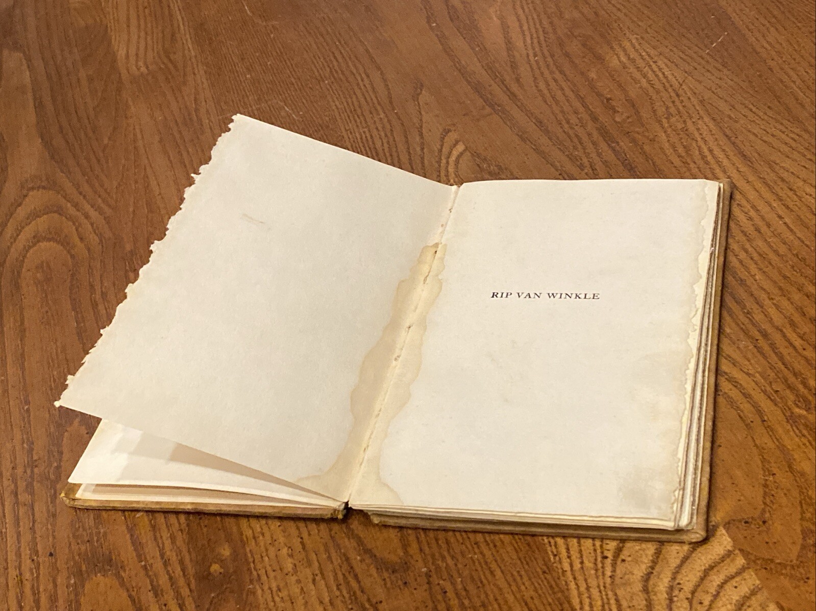 Antique RIP-VAN WINKLE BY WASHINGTON IRVIN HARD COVER BORSE & HOPKINS 47 Pages