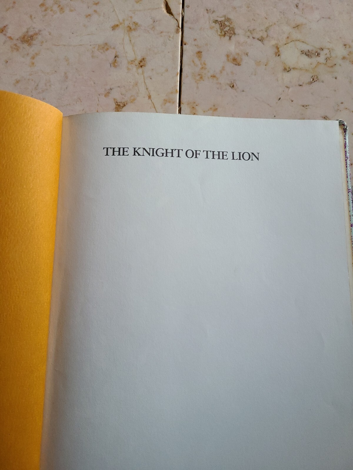 The Knight Of The Lion Gerald McDermott Four Winds Press 1979 First Ed HC VTG!