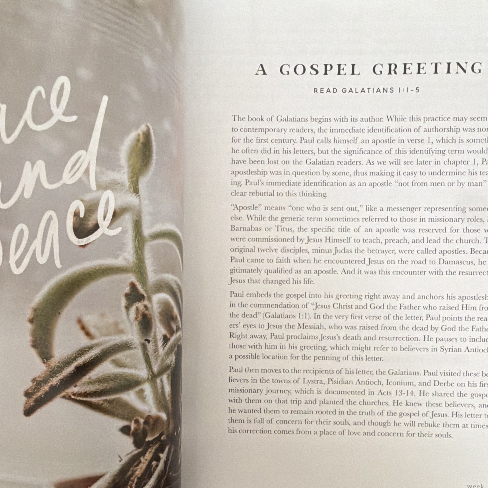 The Daily Grace Co. By Faith Galatians Study Guide Glenna Marshall PB 2019