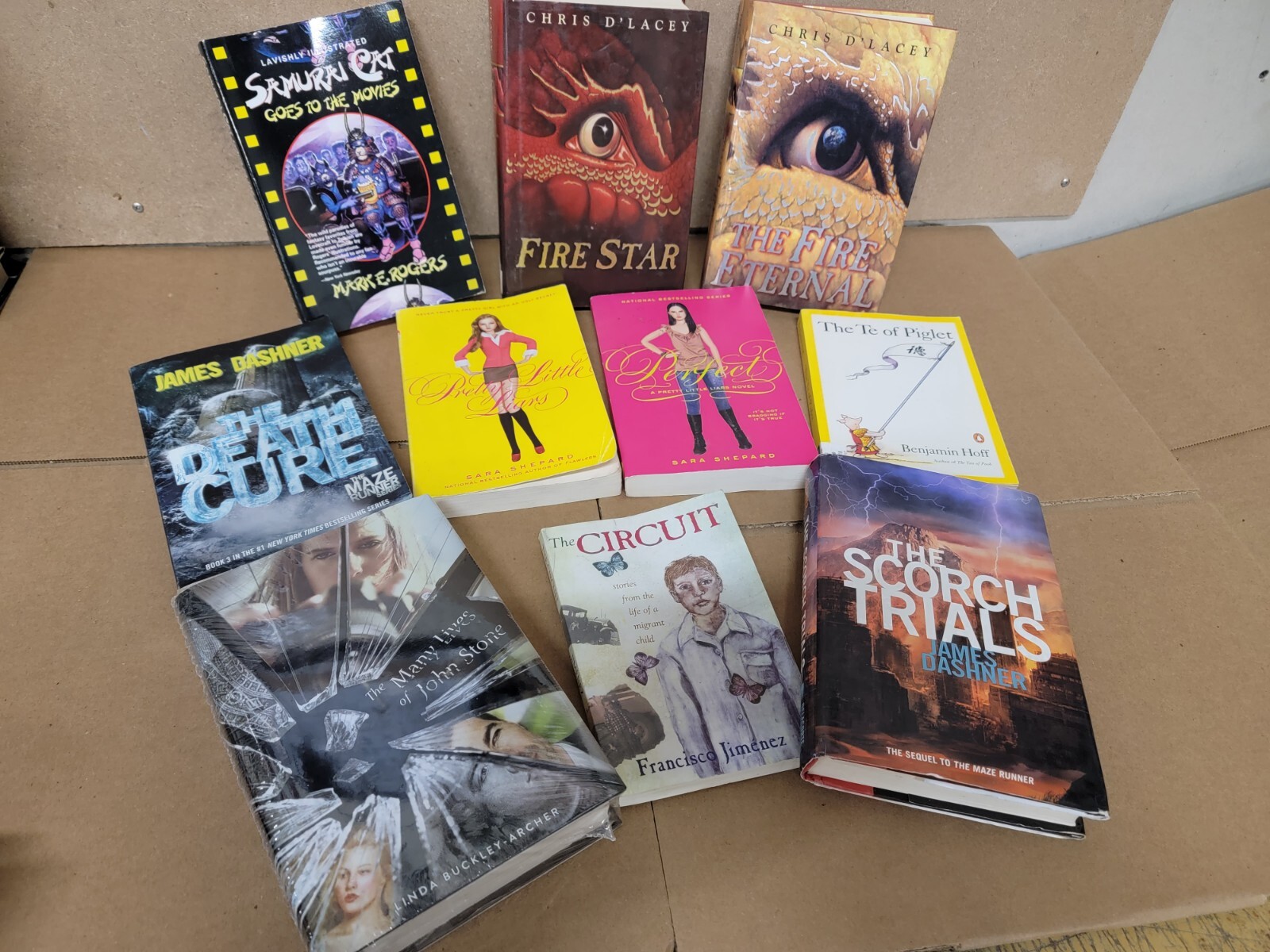 Lot of 10 Young Adults YA PRE-Teen Youth RANDOM STORY CHAPTER UNSORTED BOOKS MIX