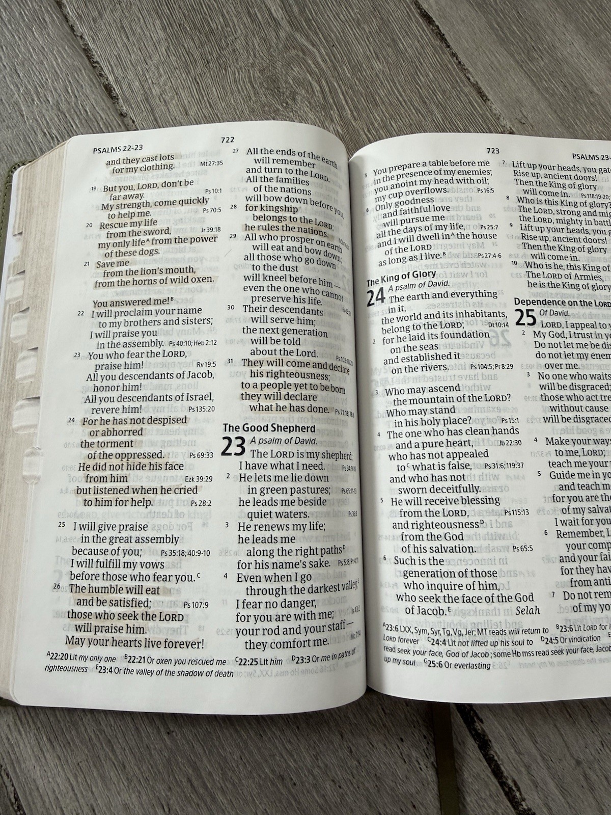 ✝️ CSB – Holy Bible LARGE PRINT Personal Size Reference Bible INDEXED Holman