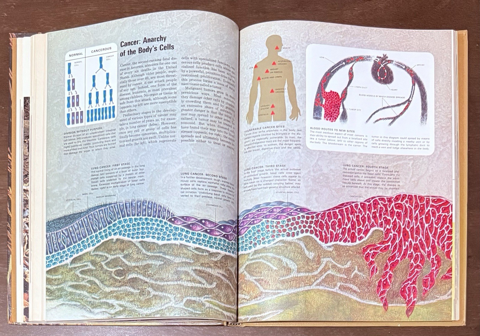 Health And Disease by Rene Dubos & Maya Pines. Time Life Books Science Library