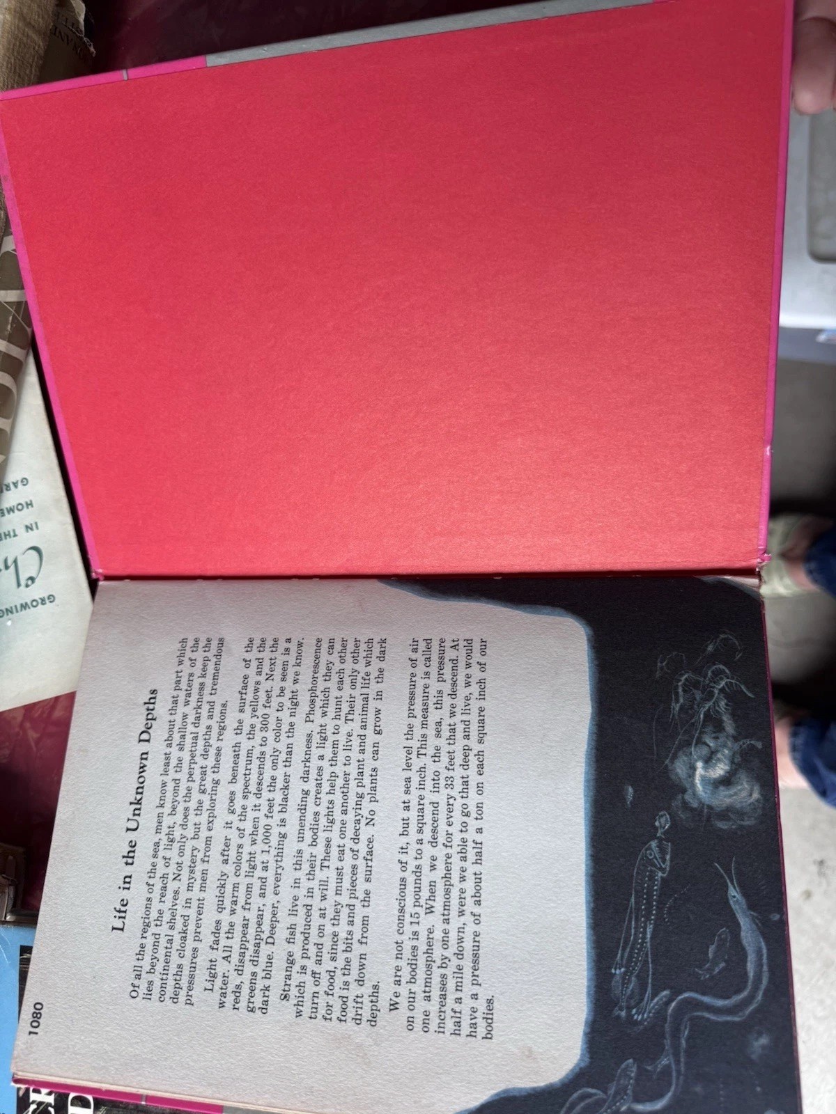 Standard Treasury Of Learning With Funk And Wagnalls vol 12 Rivers Sea 1960 VGC