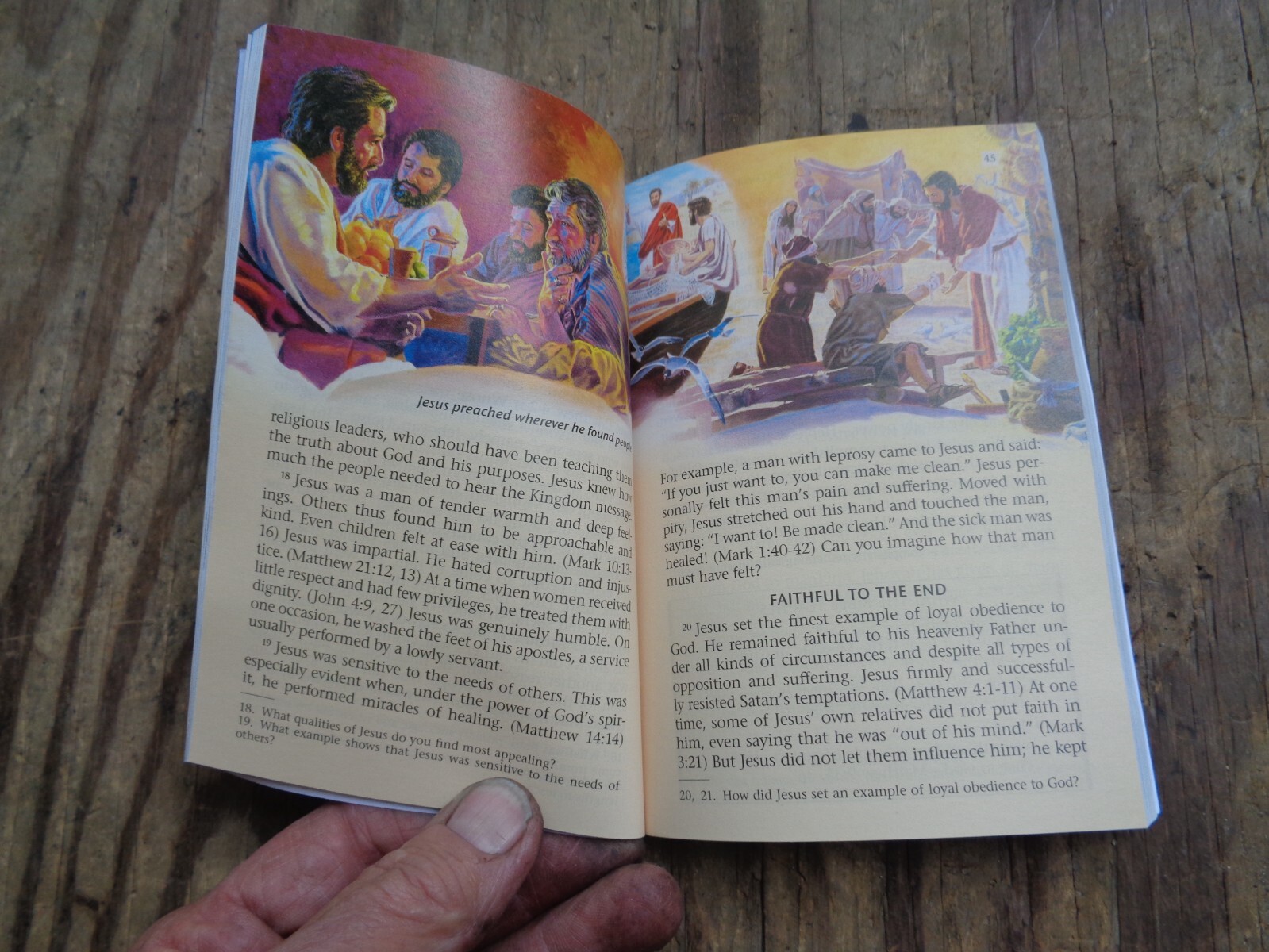 „WHAT DOES THE BIBLE REALLY TEACH?“. 2016. 223 pages. Paperback. Watchtower