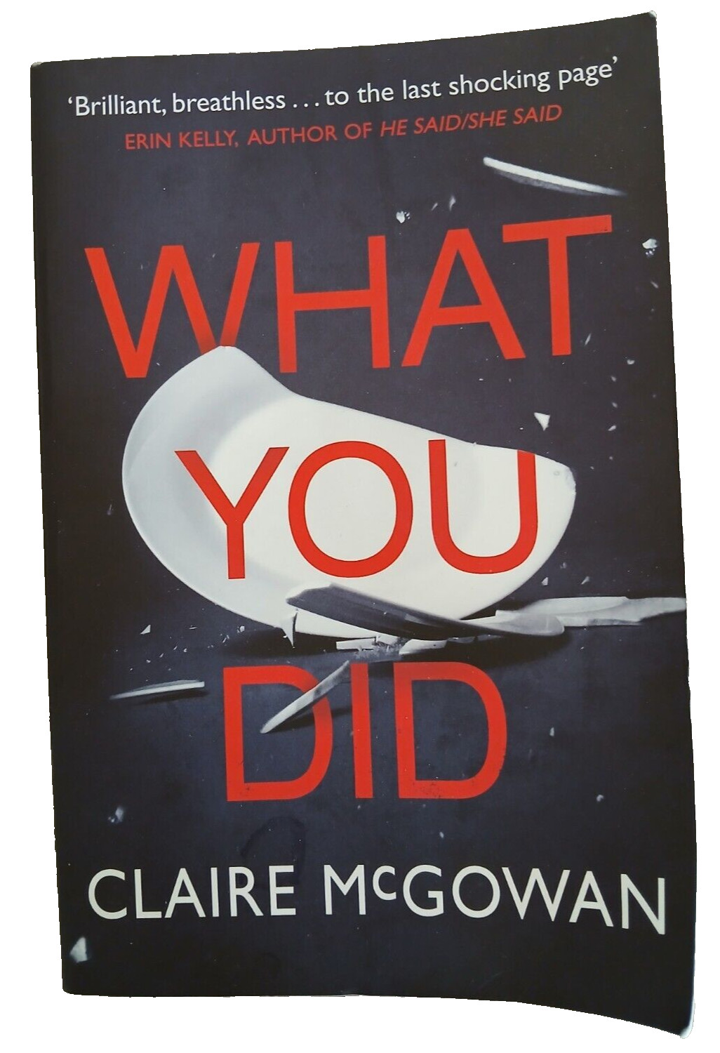 What You Did By Claire McGowan Paperback 269 Pages