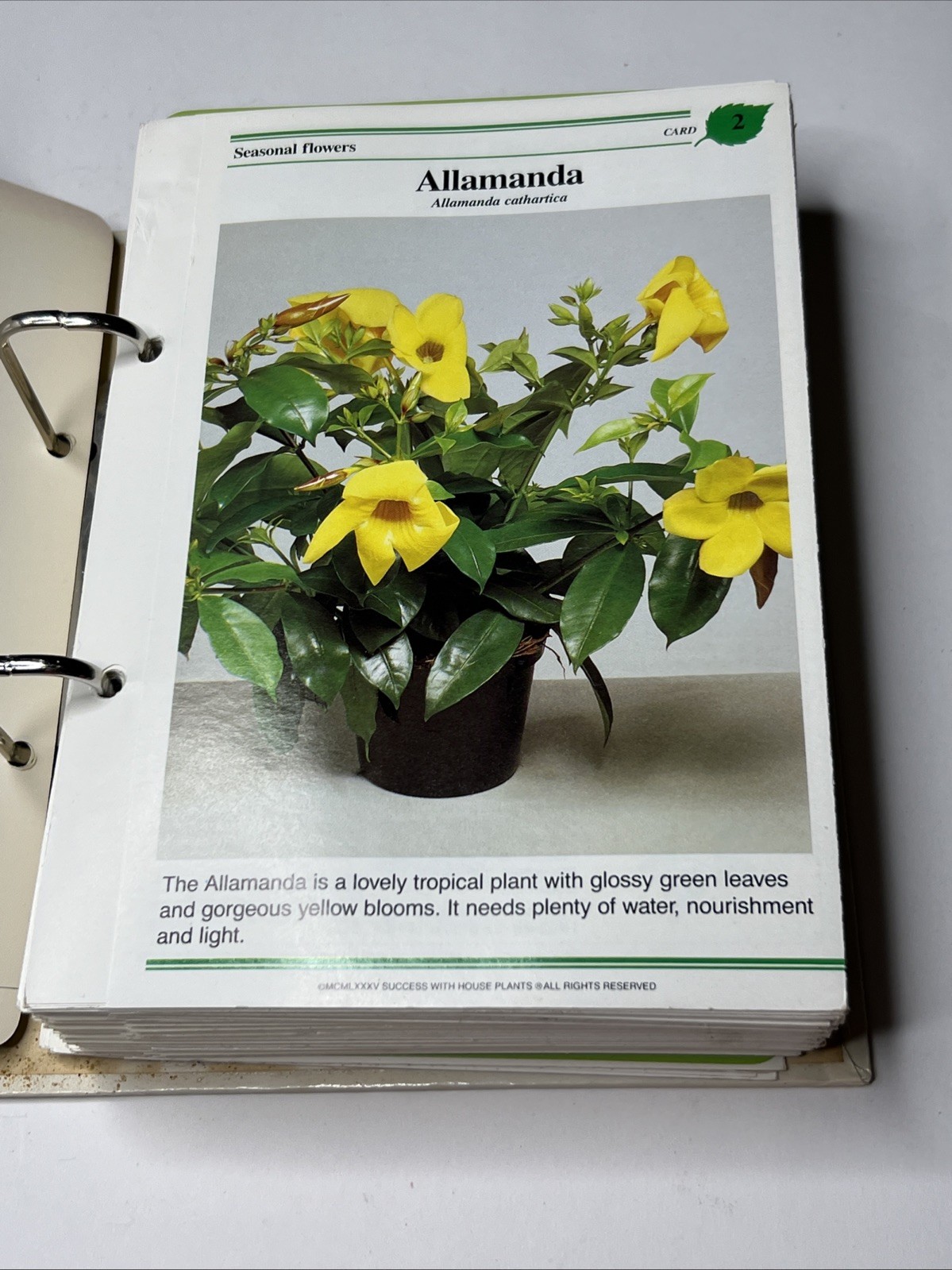 Vintage 1985 Success With House Plants Gardening Hardcover Spiral Binder Book