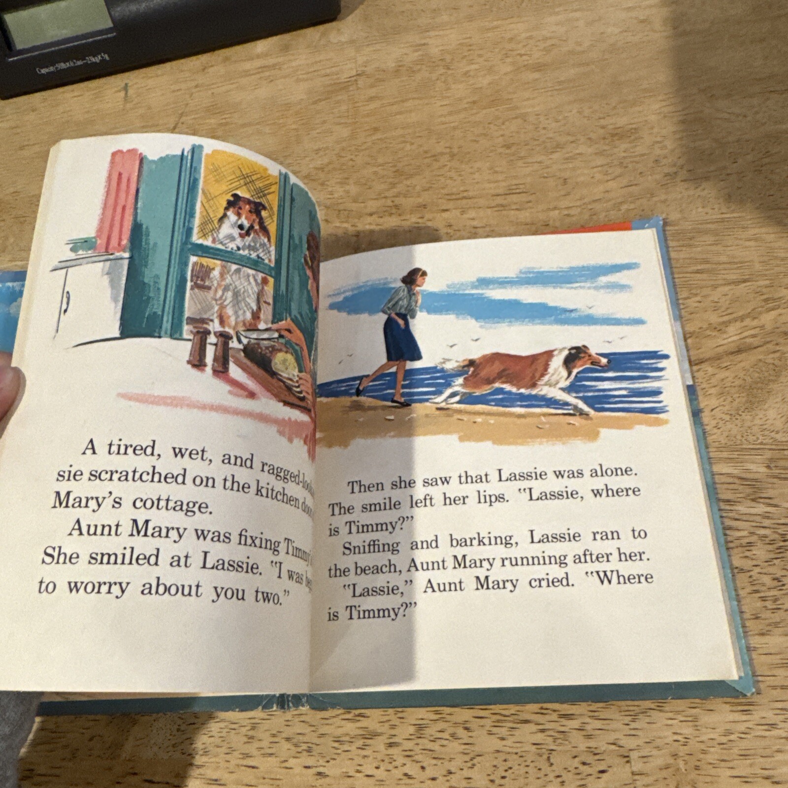 Lassie The Sandbar Rescue, 1964, Whitman Publishing by Jean Fiedler