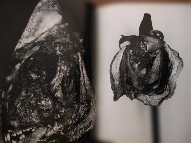 Nobuyoshi Araki „Erotos“ Photo Book First edition Hardcover Japanese