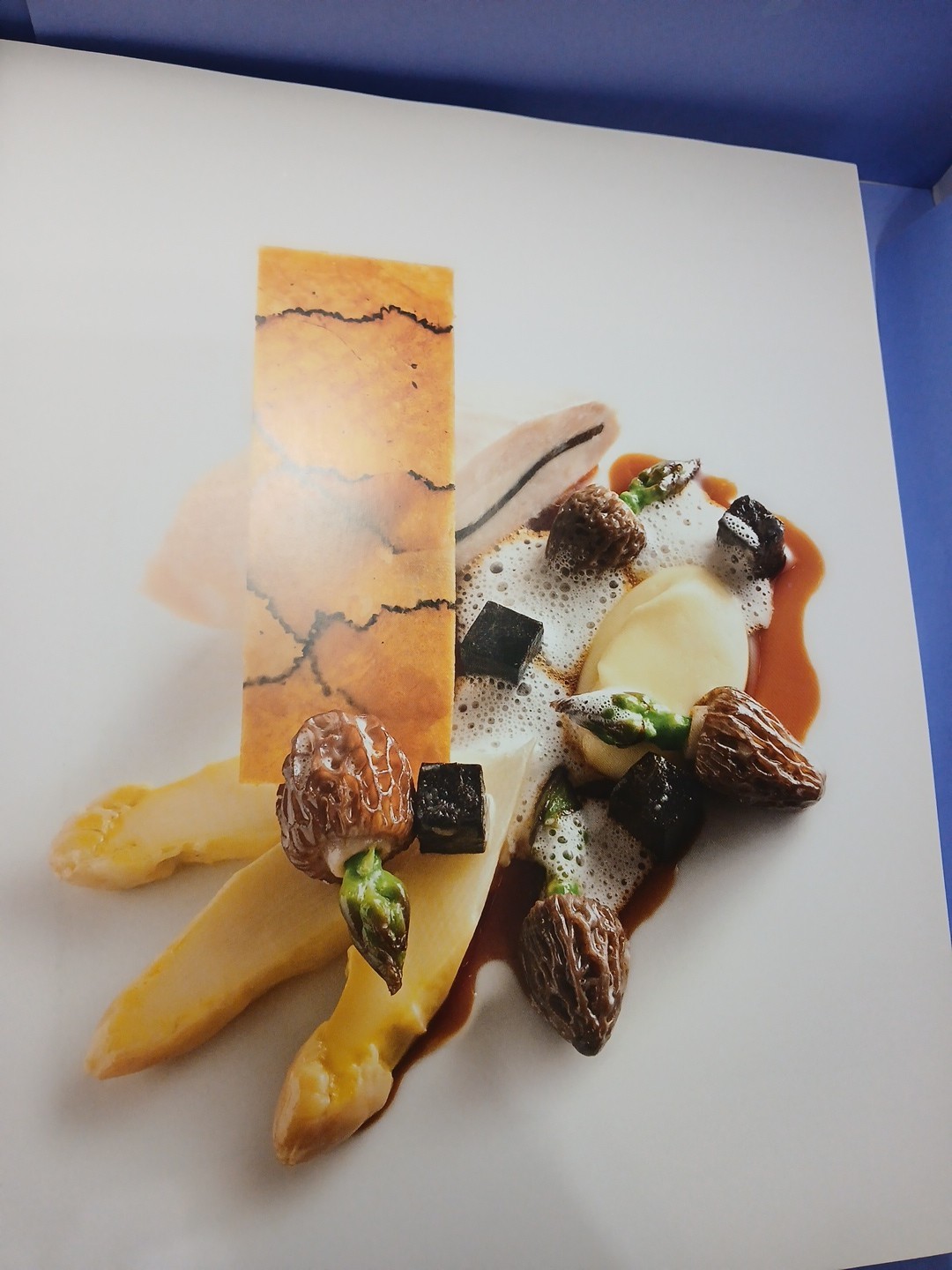 Eleven Madison Park The Cookbook by Daniel Humm & Will Guidara (2011, Hardcover)