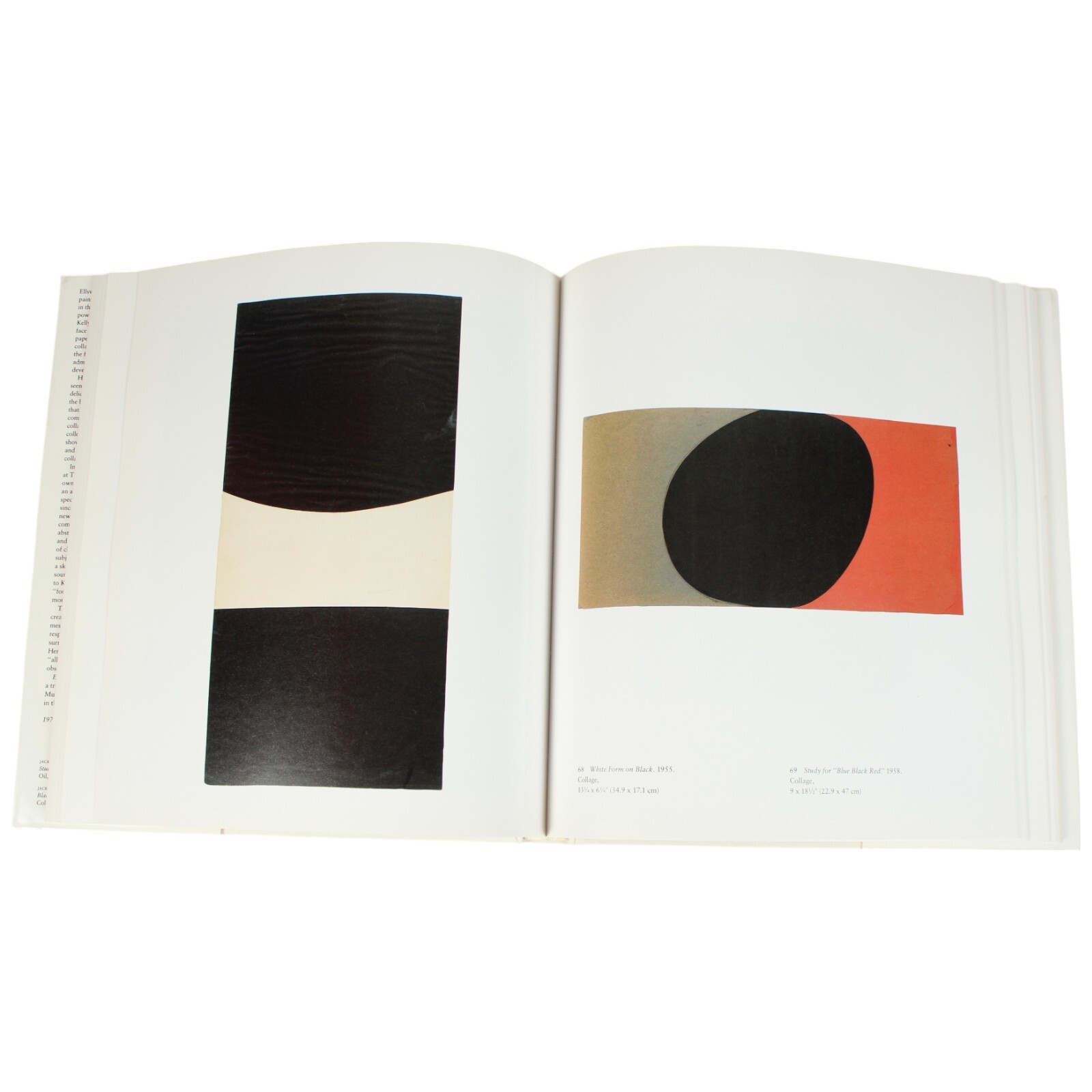 Ellsworth Kelly Hard Edge Minimalist Art Book Color Field Geometric Abstract MCM