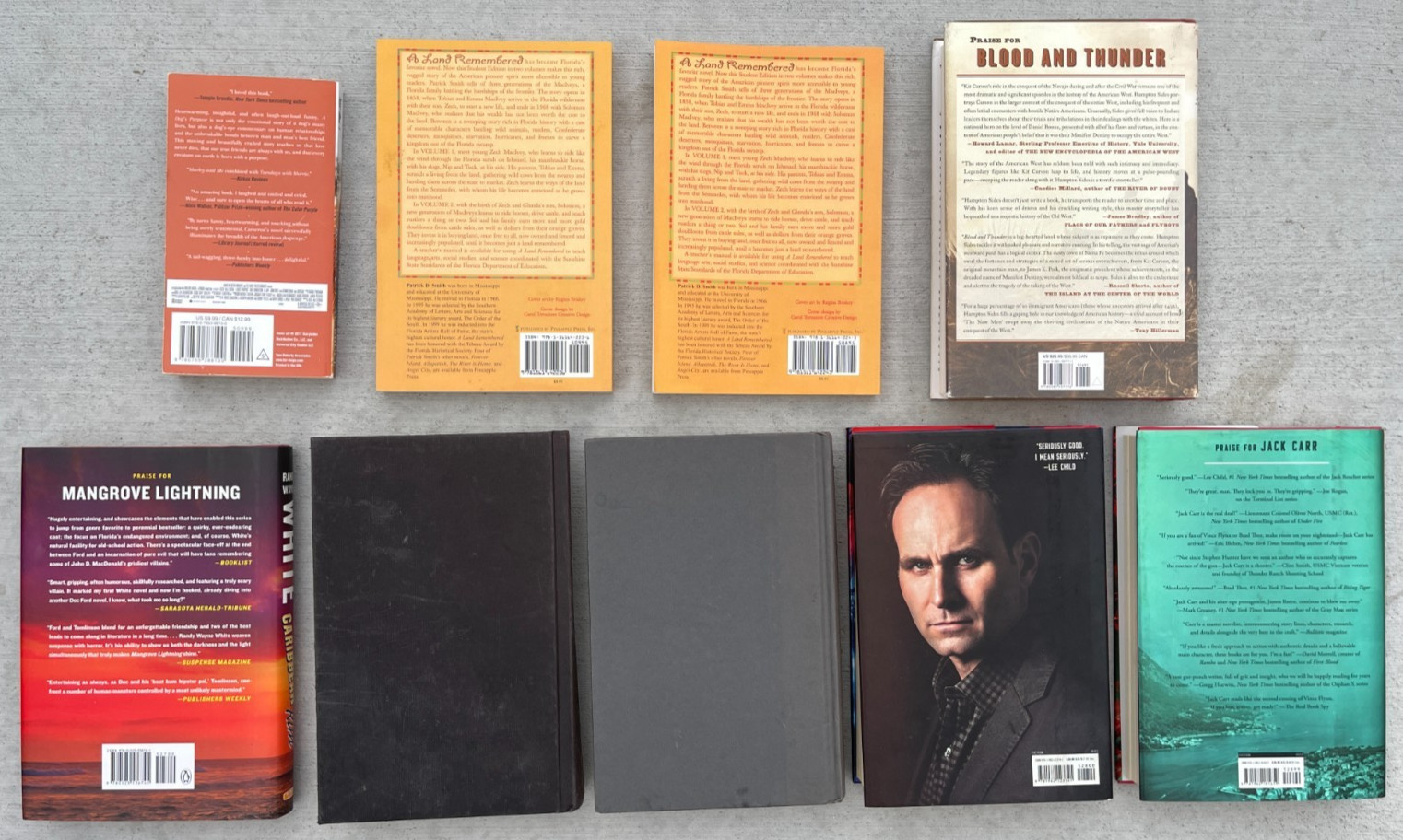 9 Book Lot Jack Carr Randy Wayne White Thrillers Military Historical Fiction