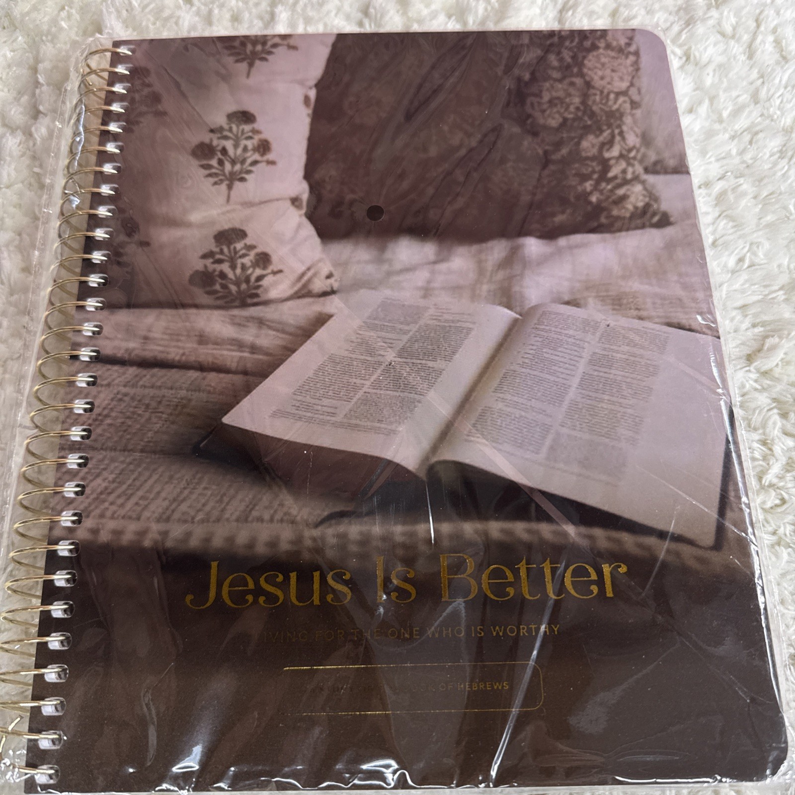 Jesus is Better Hebrews Study & Come And See John Study The Daily Grace Co. New