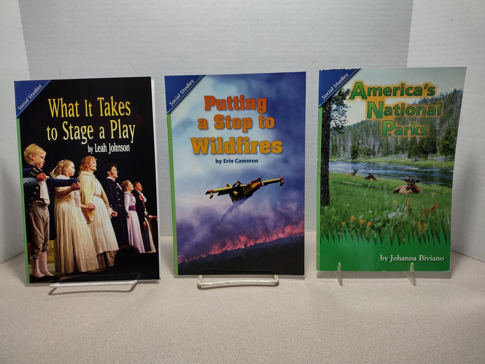 Scott Foresman Reading Street Grade 4 Lot of 22 Science, Social Studies, Reading